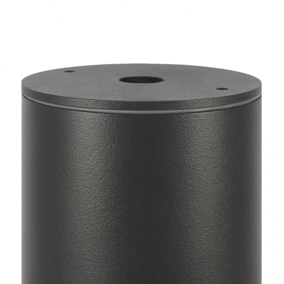 Уличный потолочный светильник Outdoor O306CL-L12GF