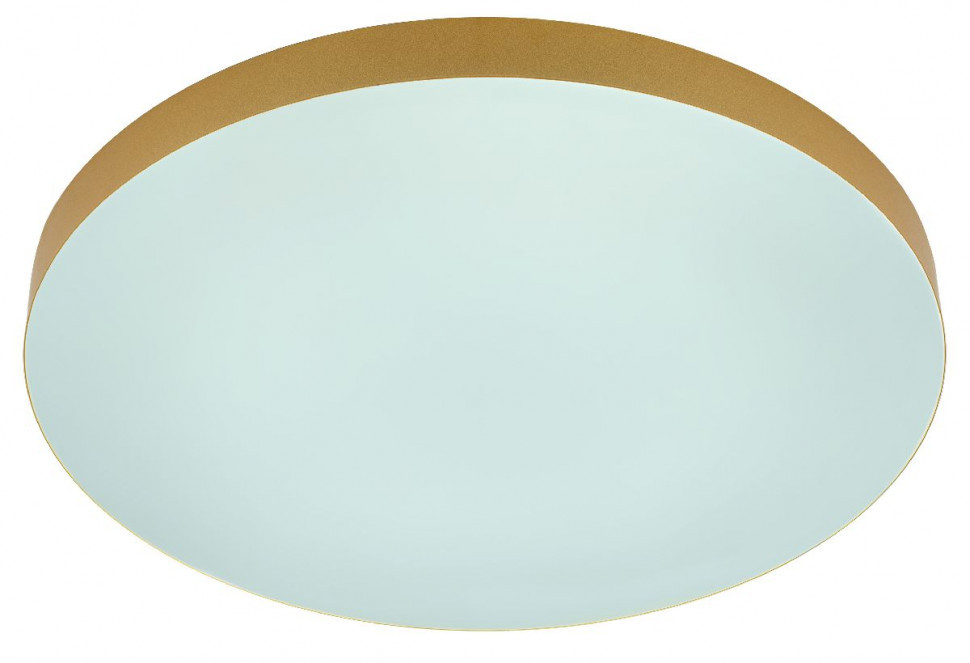 Потолочный светильник Эра Relict 48 Pult SPB-6-60-RC MG Б0059498