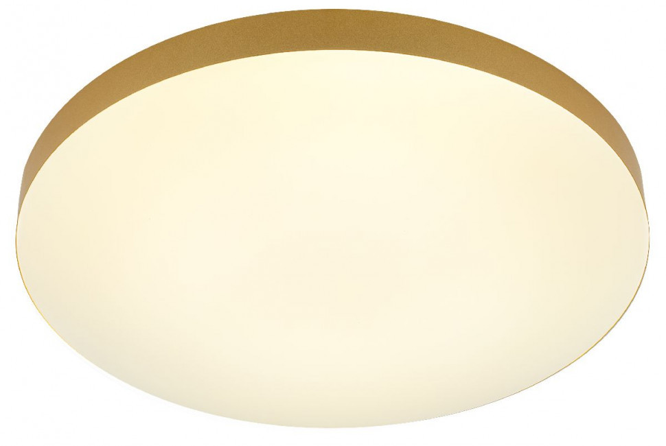 Потолочный светильник Эра Relict 48 Pult SPB-6-60-RC MG Б0059498