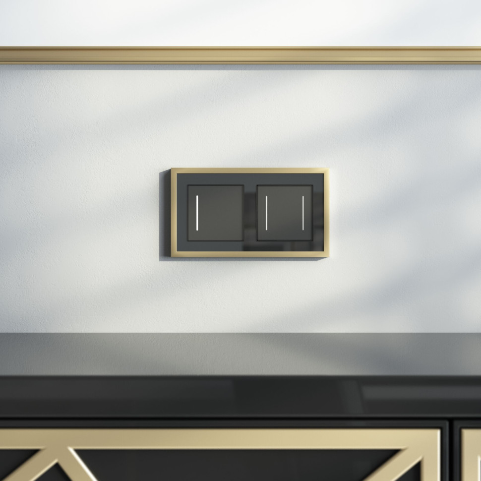 Рамка из металла на 2 поста Baguette черный/латунь W0022852