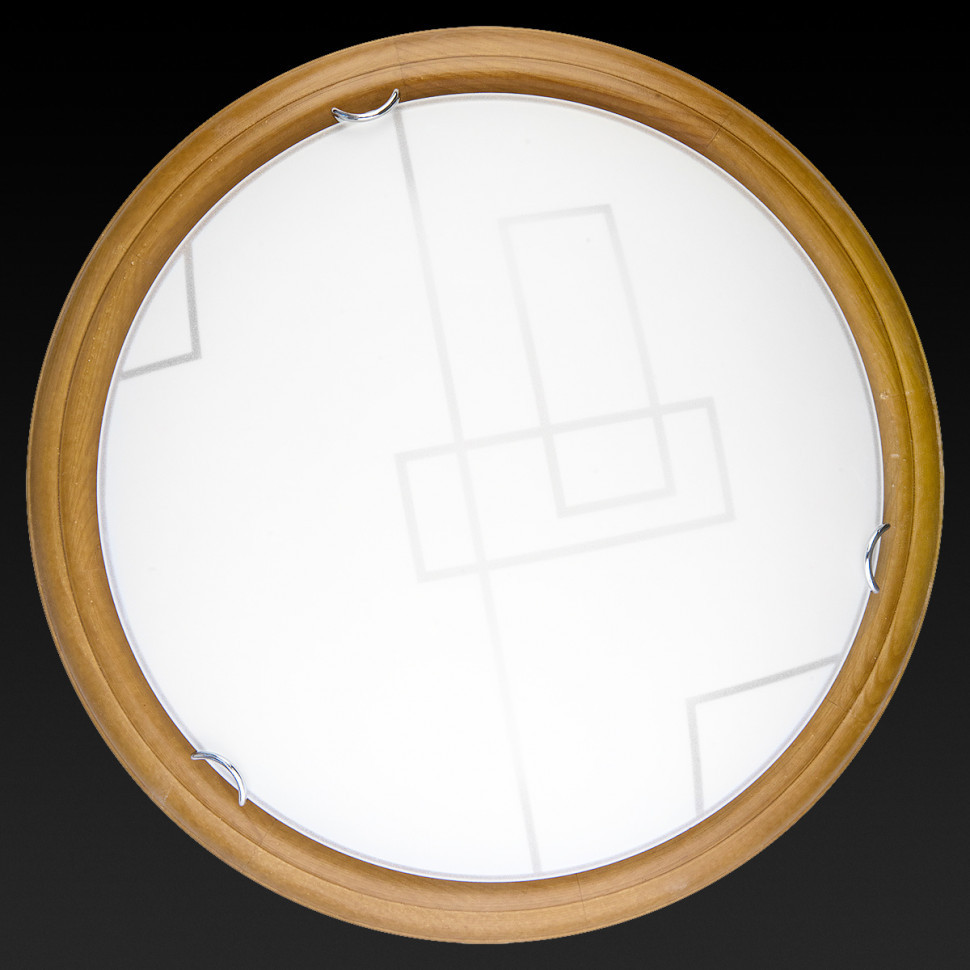 Настенно-потолочный светодиодный светильник Toplight Debora TL9540Y-00OA