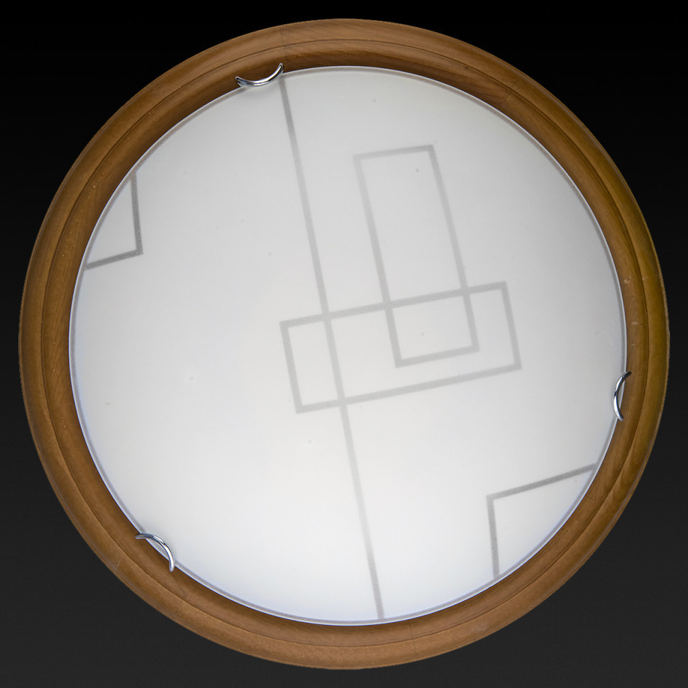 Настенно-потолочный светодиодный светильник Toplight Debora TL9540Y-00OA