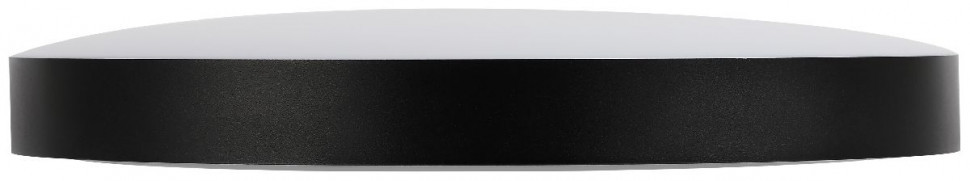 Потолочный светильник Эра Relict 48 SPB-6-60 4К BK Б0059501