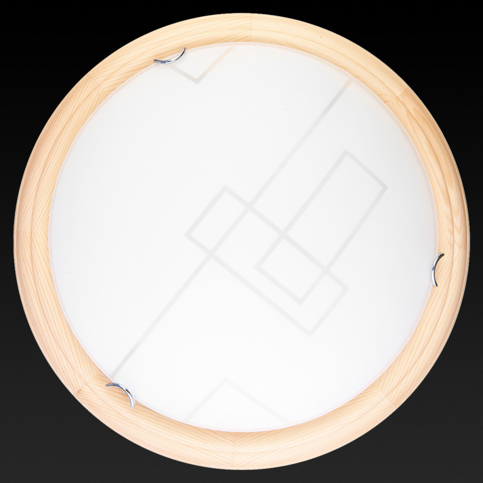 Настенно-потолочный светодиодный светильник Toplight Debora TL9540Y-00PN