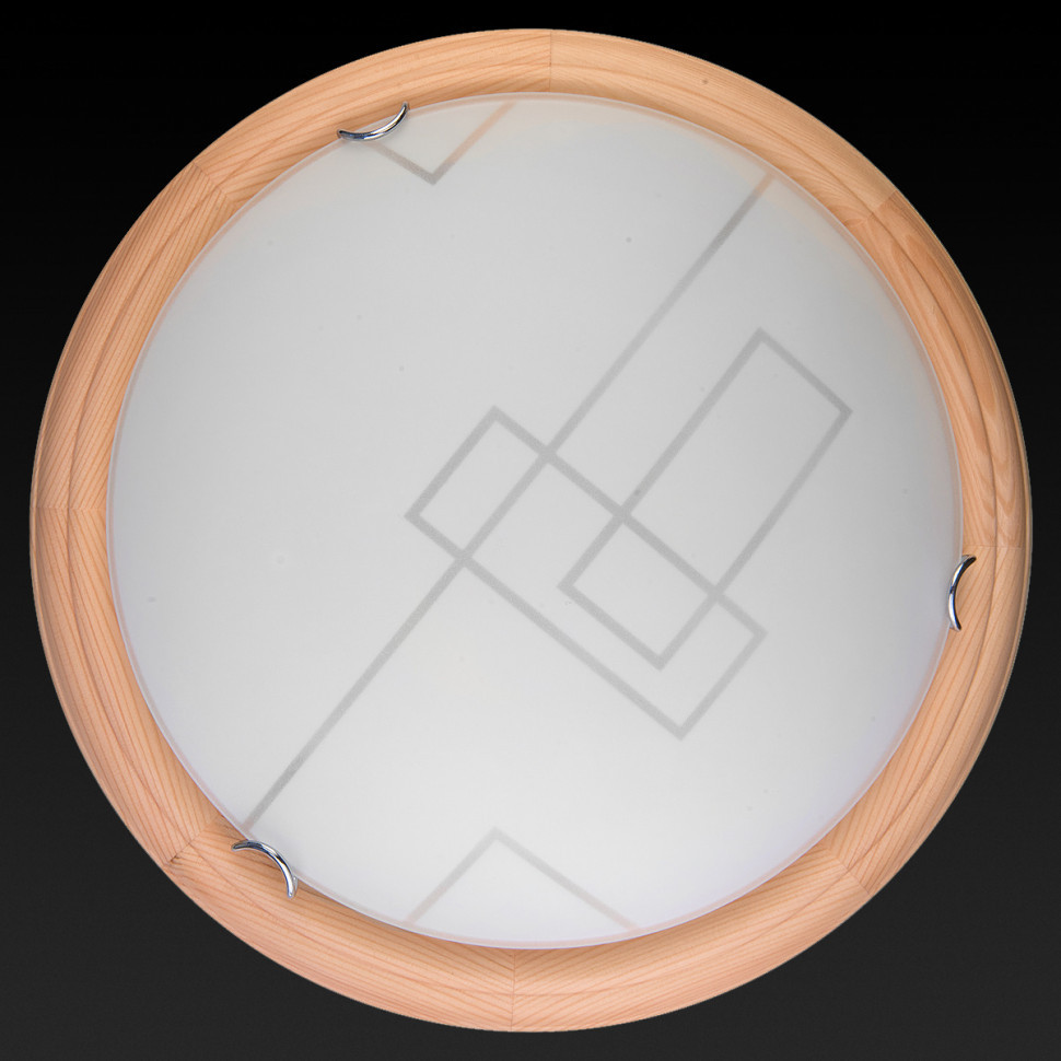 Настенно-потолочный светодиодный светильник Toplight Debora TL9540Y-00PN