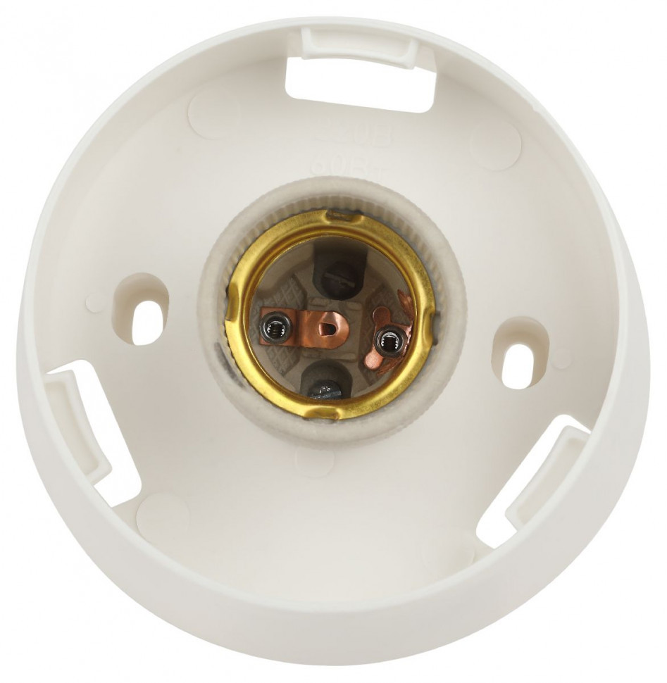 Настенно-потолочный светильник Эра НБП 01-60-004 Б0052011