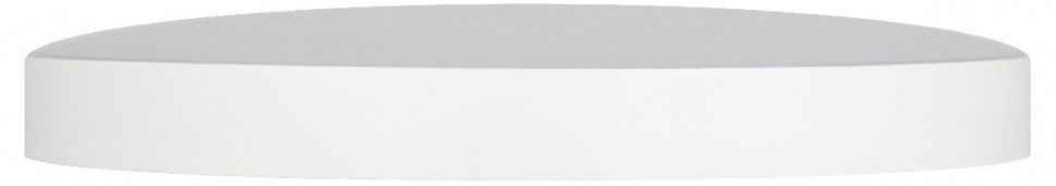 Потолочный светильник Эра Relict 48 SPB-6-60 4К WH Б0059500