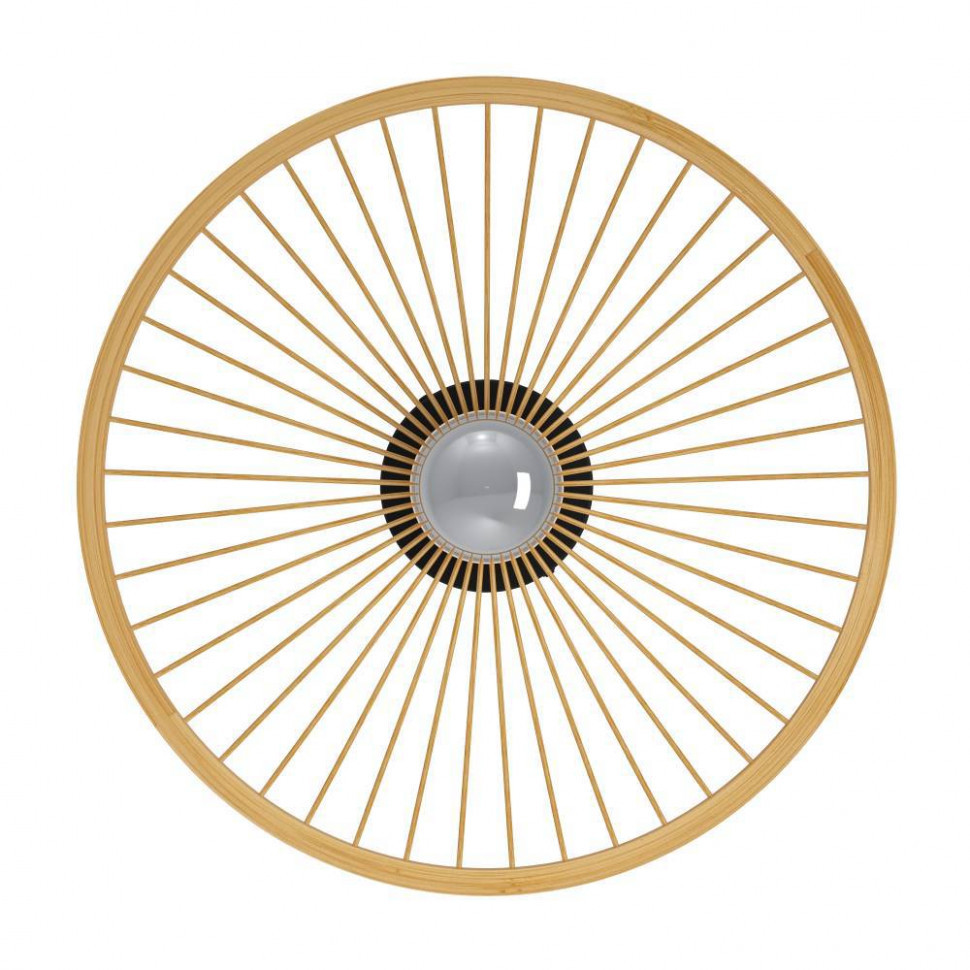 Настенно-потолочный светильник Eglo Leominster 43883