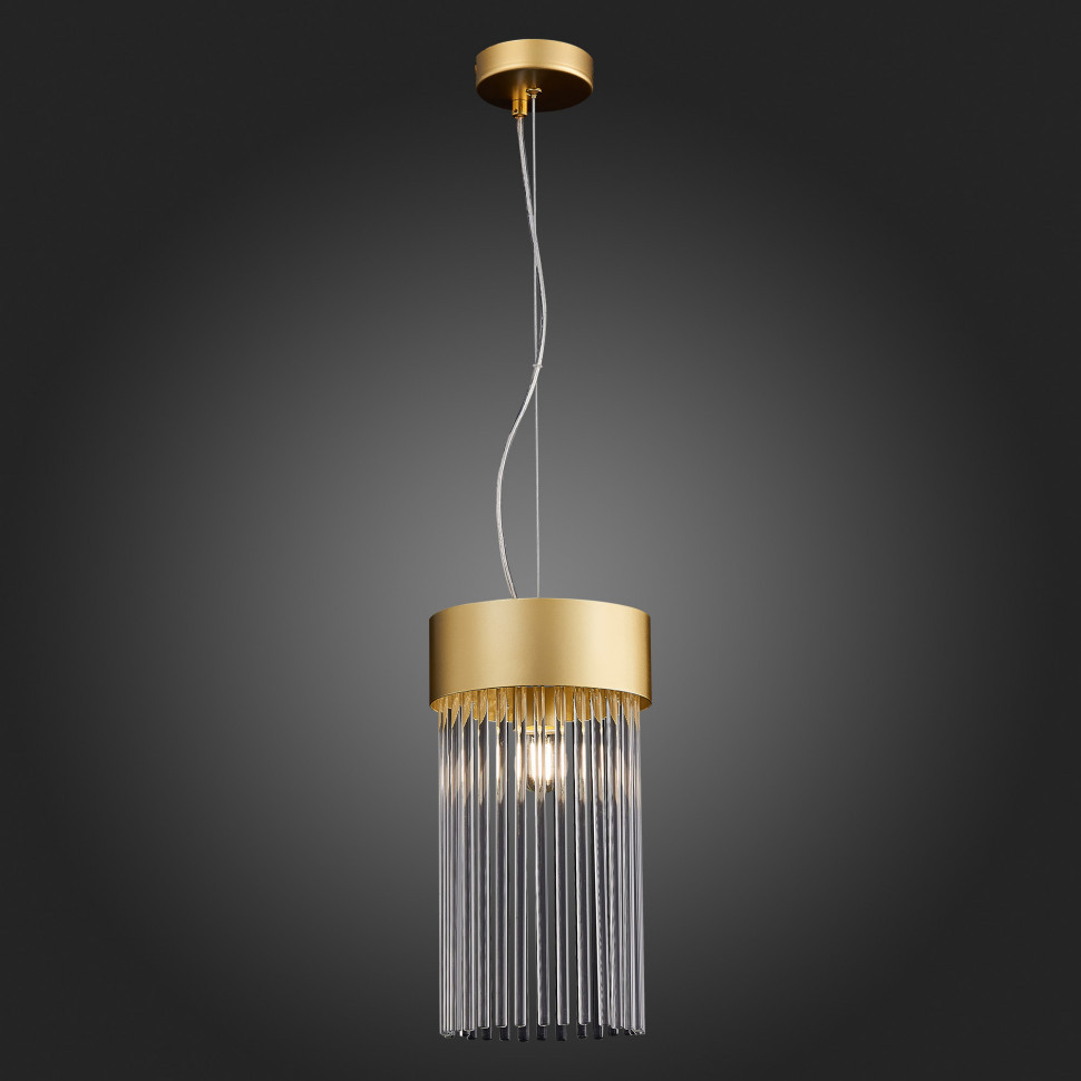 Подвесной светильник ST Luce Contatto SL1225.203.01