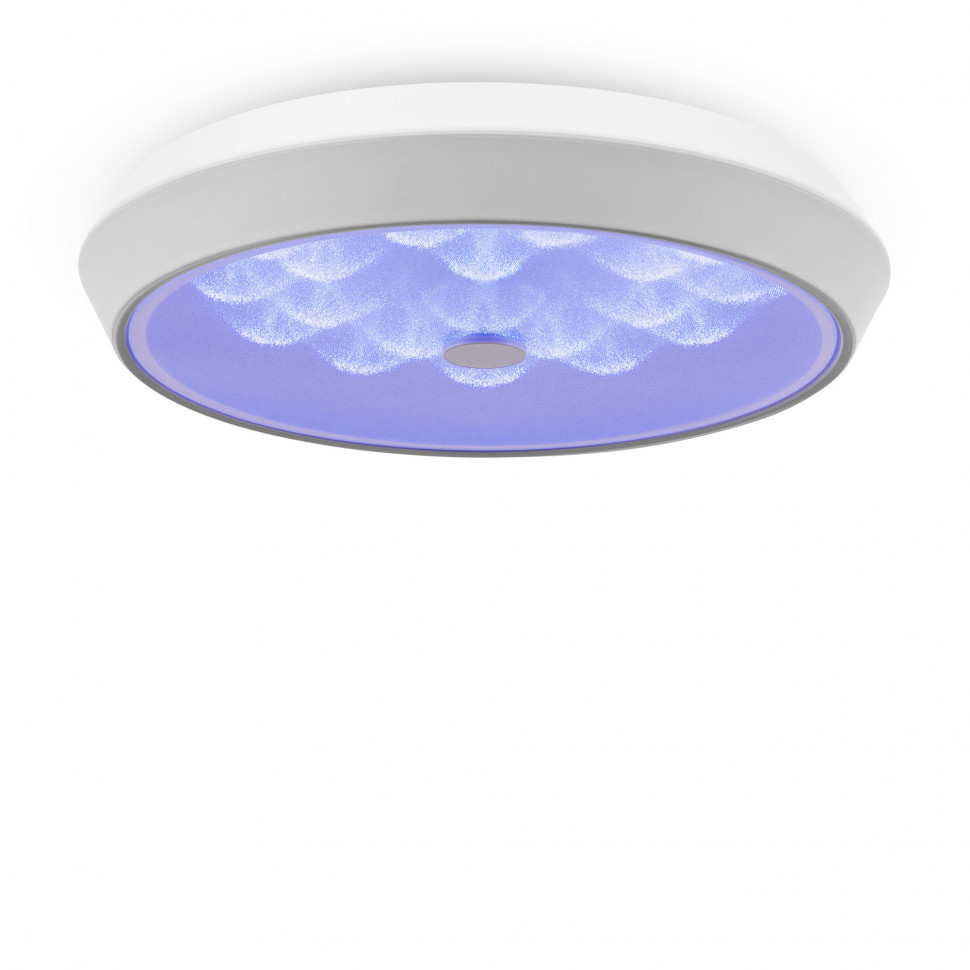 Потолочный светильник Freya FR10012CL-L24W