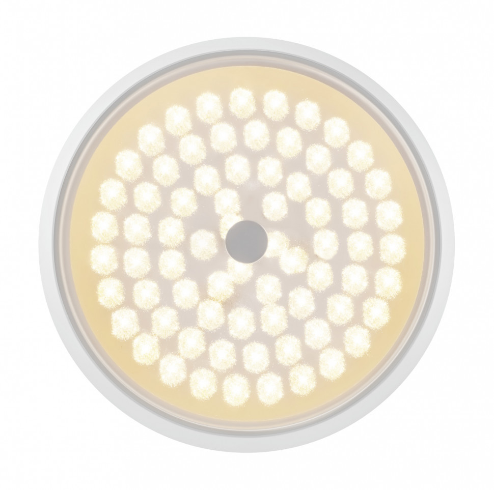 Потолочный светильник Freya FR10012CL-L24W
