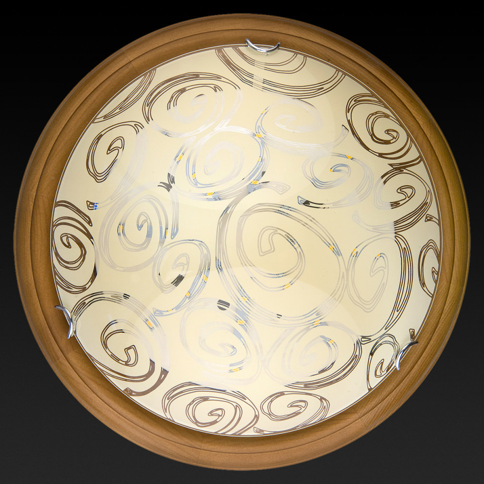 Настенно-потолочный светодиодный светильник Toplight Flora TL9600Y-00OA