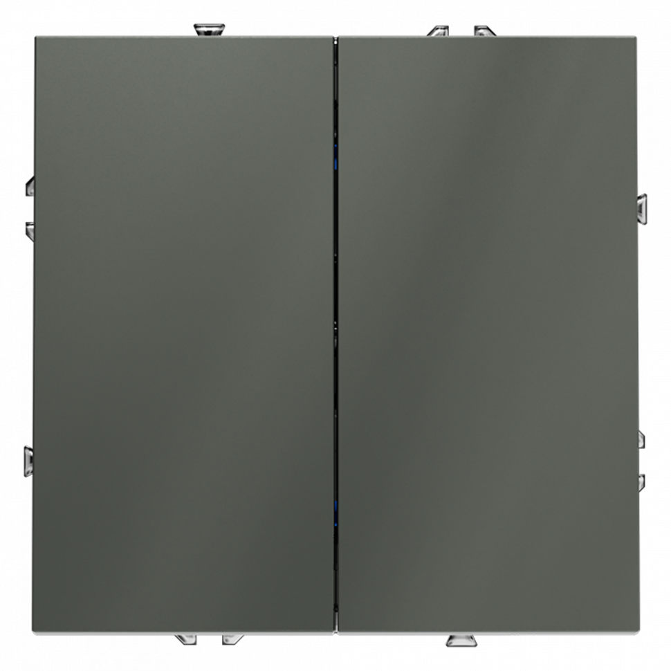 Выключатель двухклавишный, 250В, 10А, IP-20, (серый)  