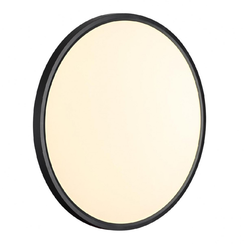 Потолочный светильник Sonex Alfa black 7660/40L