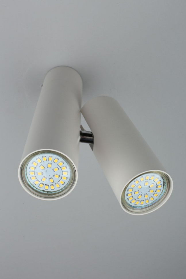 Настенно-потолочный светильник Aployt Aksel APL.006.02.02