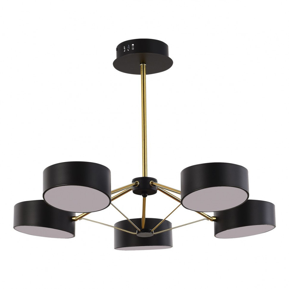 Потолочный светильник Evoluce Valle SLE6005-402-05