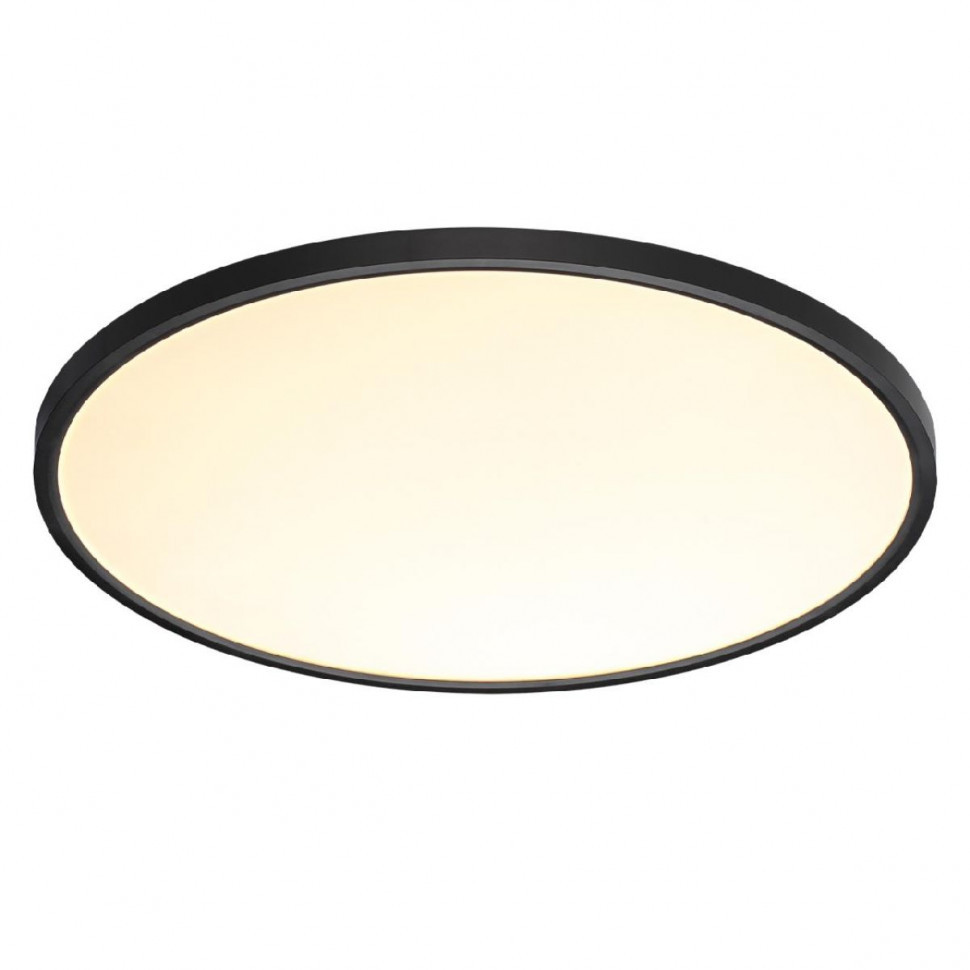 Потолочный светильник Sonex Alfa black 7660/48L