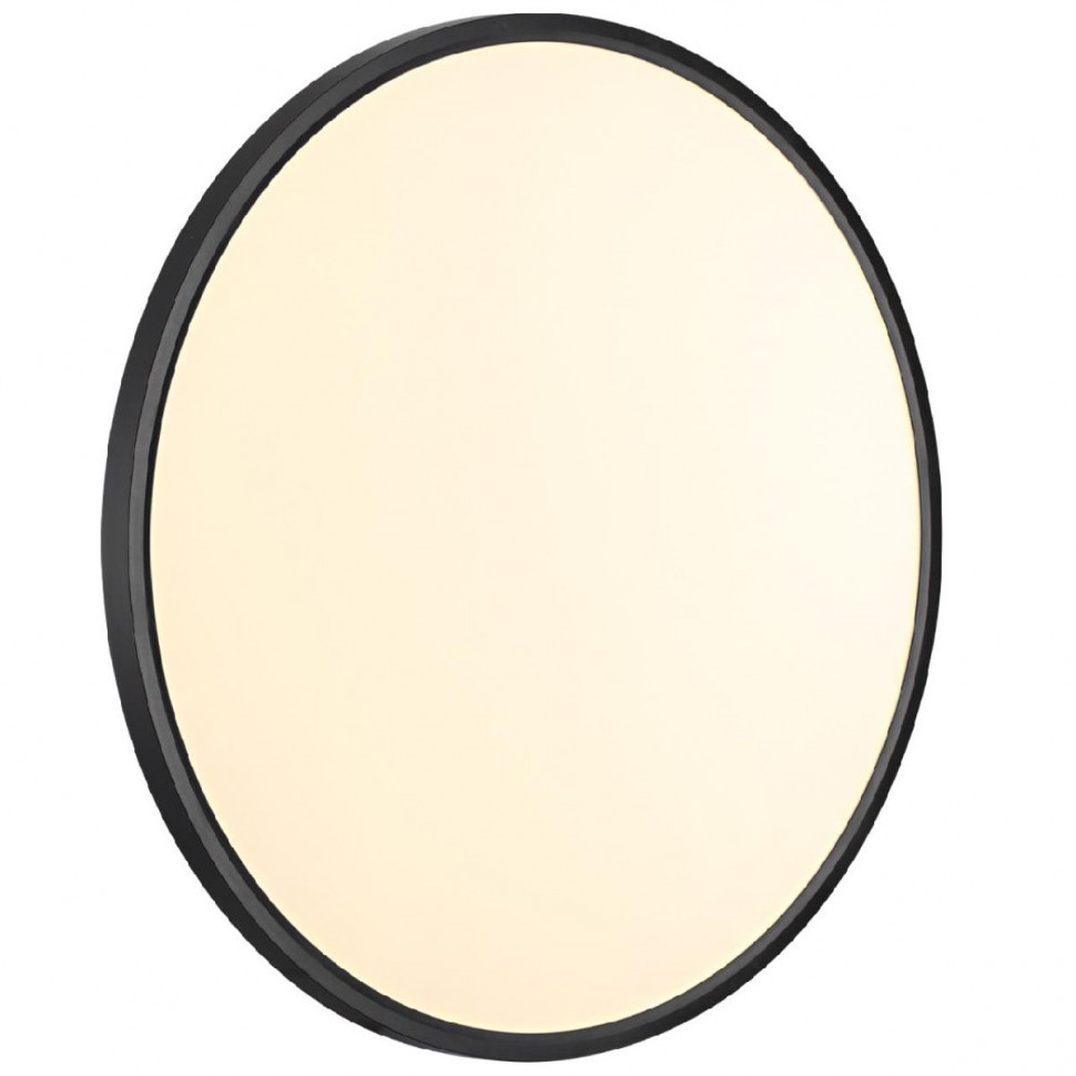 Потолочный светильник Sonex Alfa black 7660/48L