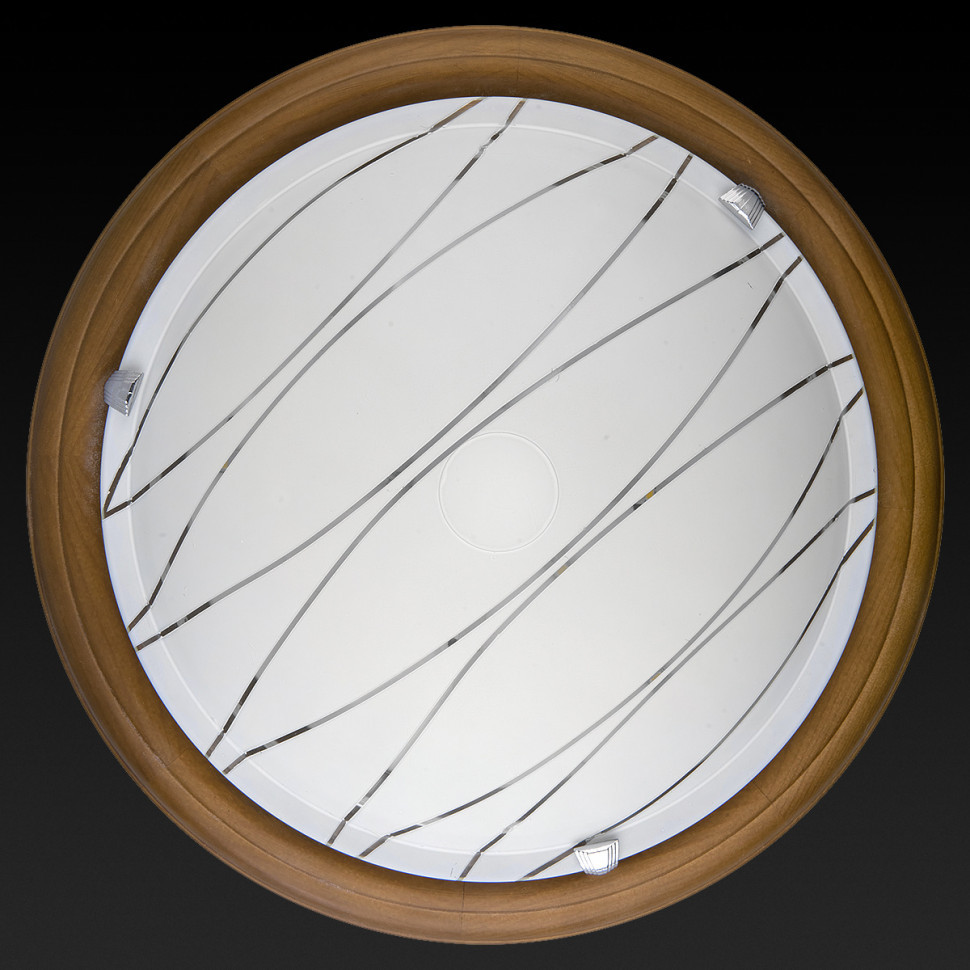 Настенно-потолочный светодиодный светильник Toplight Gabrielle TL9610Y-00OA