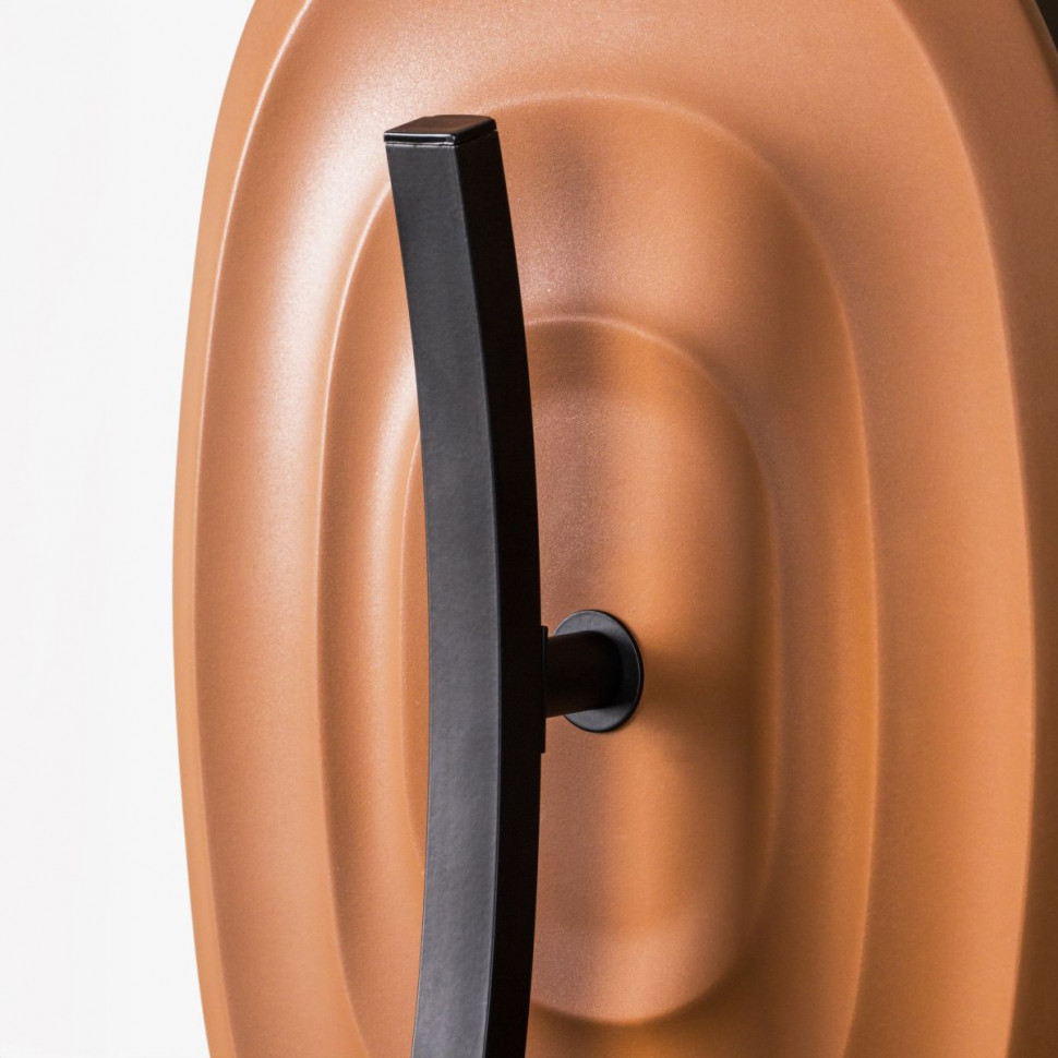 Настенный светильник Lightstar Erica 609641