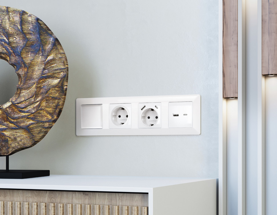 Комплект механизма розетки ALFA MA111010 с 2USB (A+C) 20W | Белый глянец QUANT