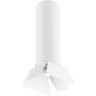 Потолочный светильник Lightstar RULLO R496436 (214496+202436)