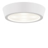 Потолочный светильник Lightstar Urbano Mini LED 214704