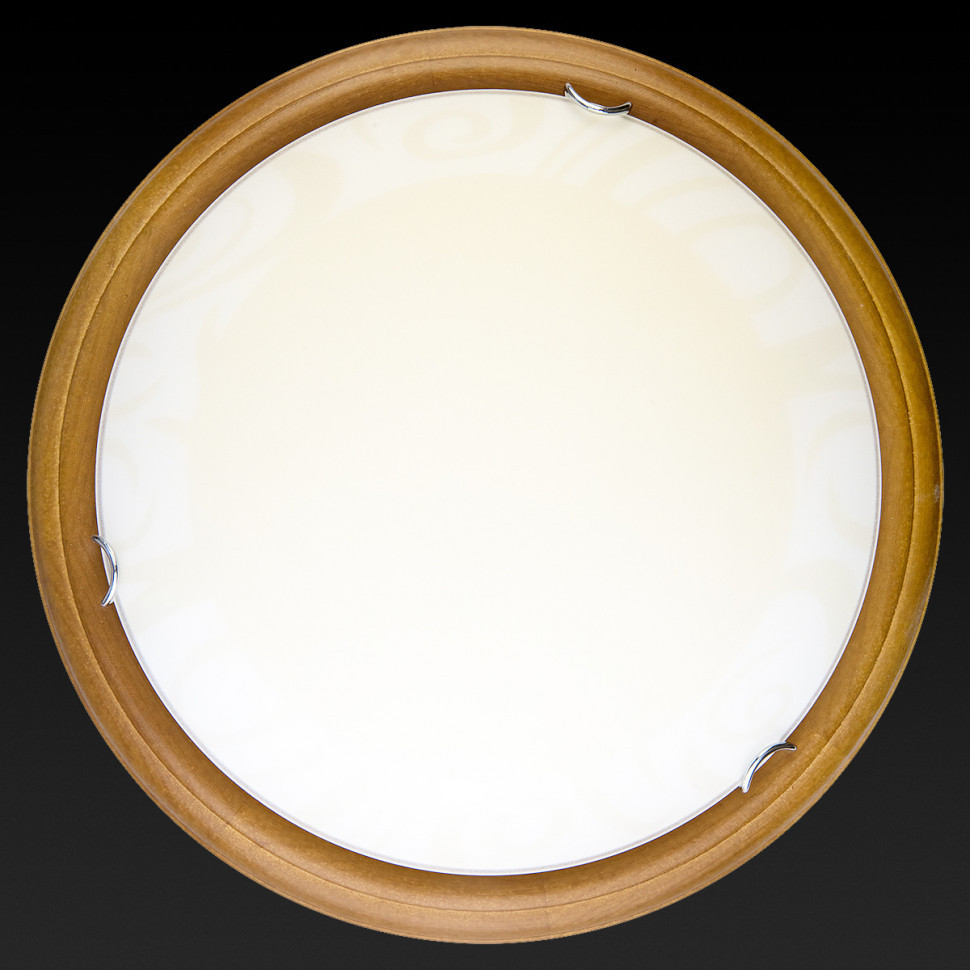 Настенно-потолочный светодиодный светильник Toplight Ginger TL9620Y-00OA