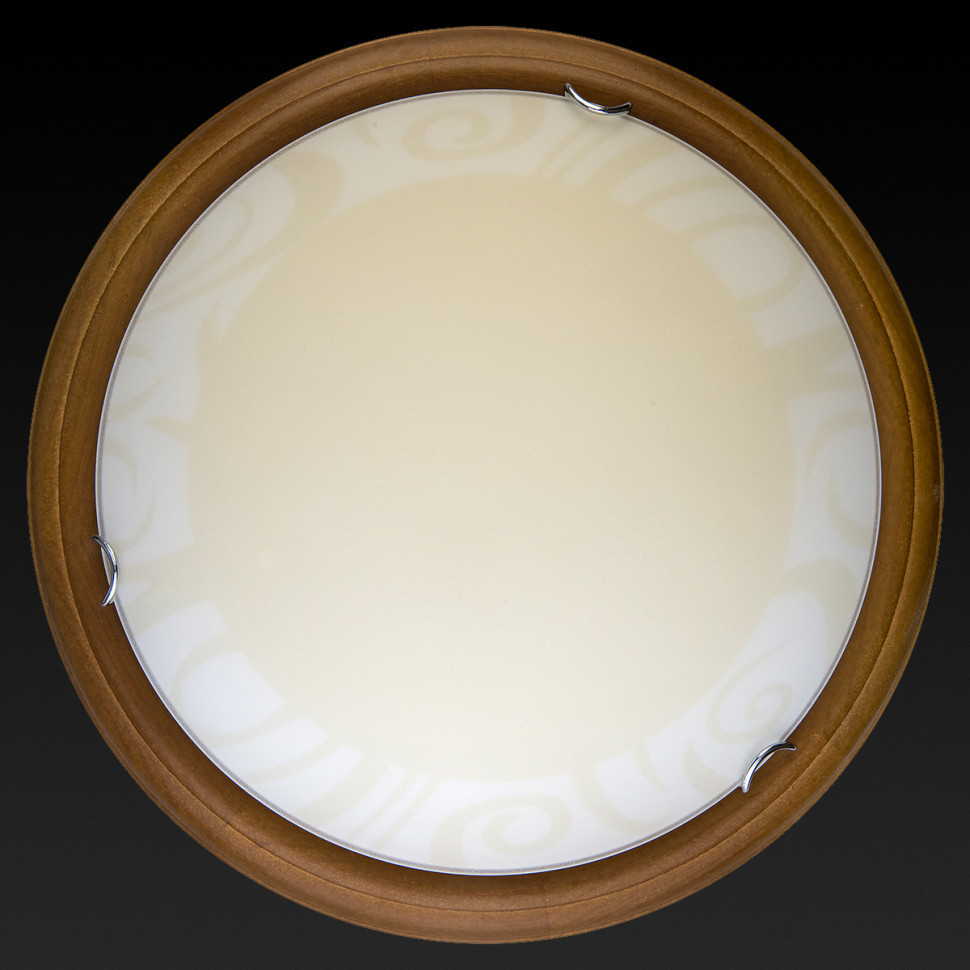 Настенно-потолочный светодиодный светильник Toplight Ginger TL9620Y-00OA