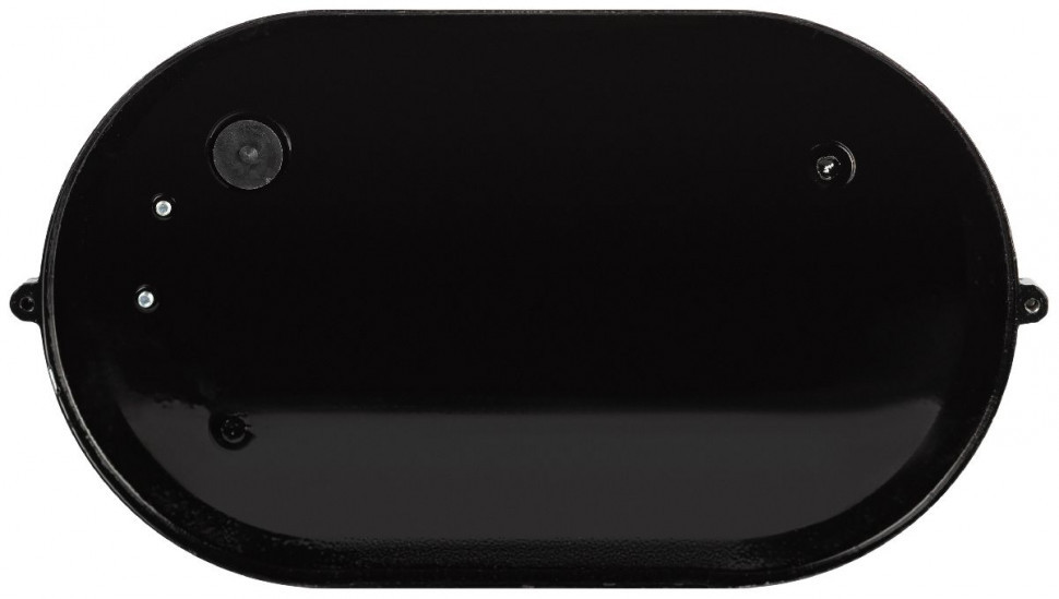 Настенно-потолочный светильник Эра НБП 04-100-001 черный Б0063863