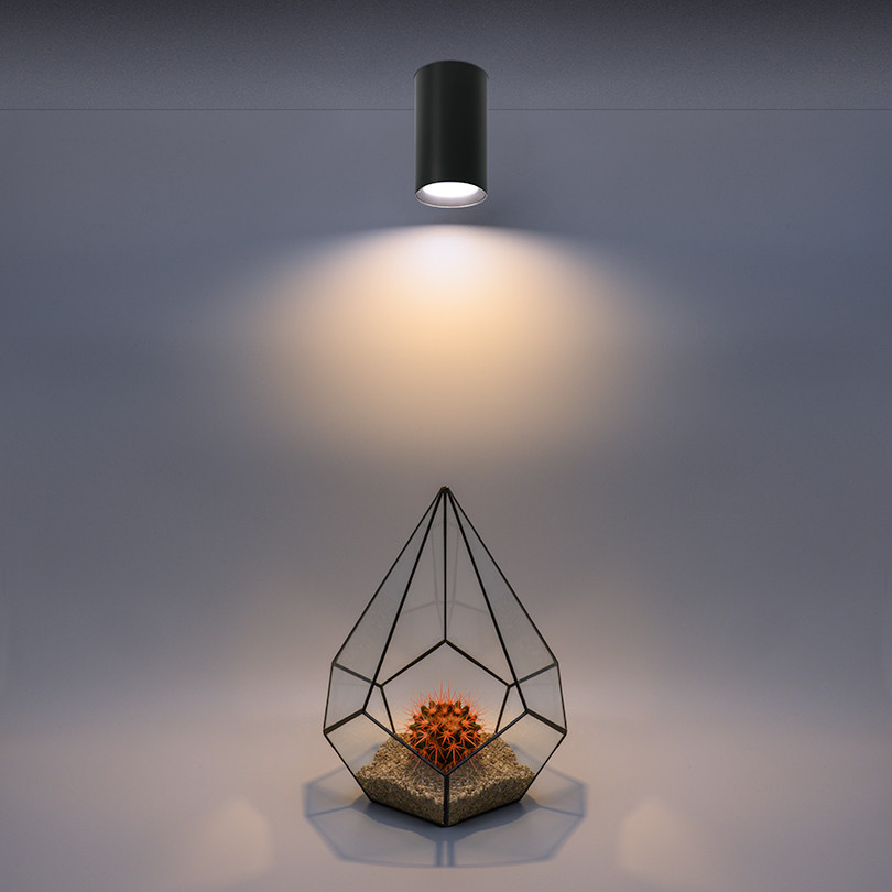 Накладной светильник Wolta Basic WSL-GU10/01BL