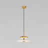 Подвесной светильник Eurosvet Thasos 40342 LED латунь a069277