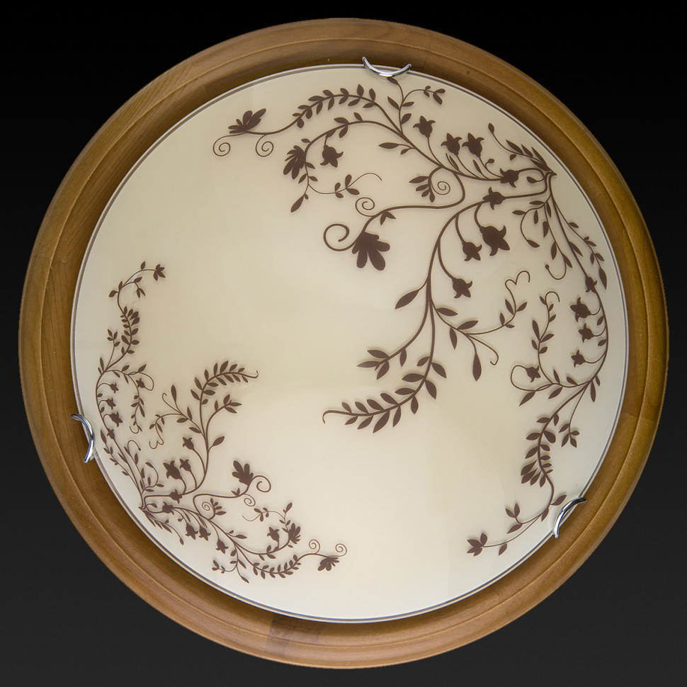 Настенно-потолочный светодиодный светильник Toplight Irene TL9630Y-00OA