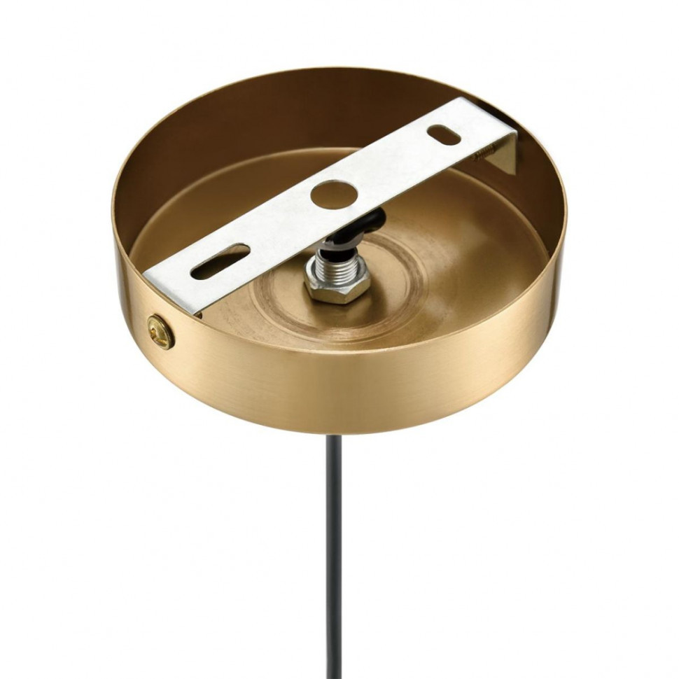 Подвесной светильник Lumion Suspentioni Derbi 8284/1A