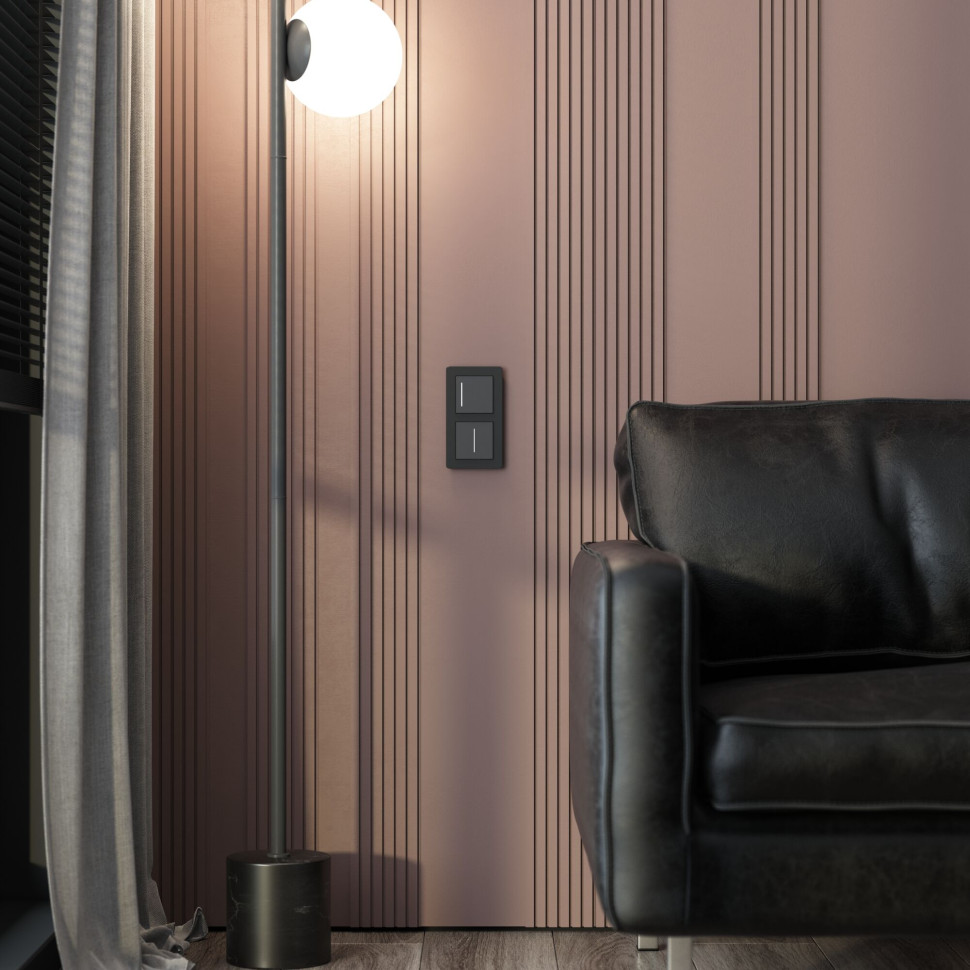 Рамка из акрила на 2 поста Acrylic черный W0022708