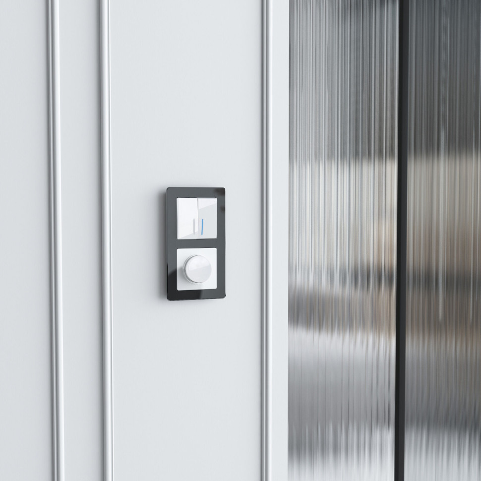 Рамка из акрила на 2 поста Acrylic черный W0022708