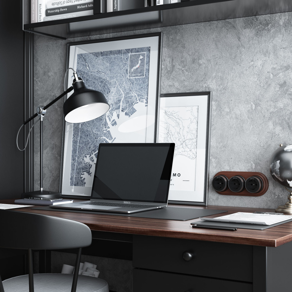 Розетка с заземлением Vintage черный матовый/хром W5871051