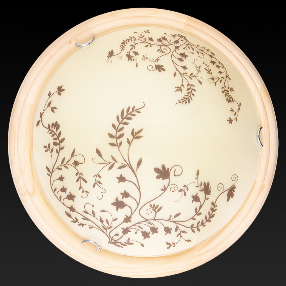 Настенно-потолочный светодиодный светильник Toplight Irene TL9630Y-00PN