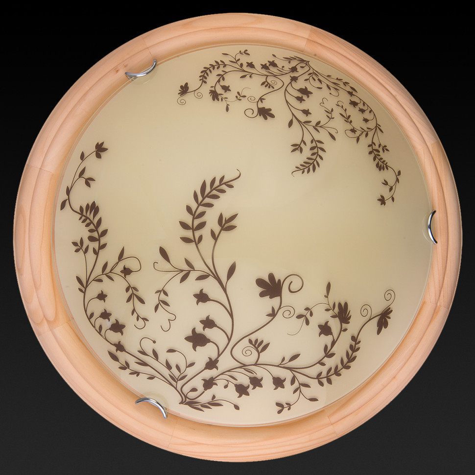 Настенно-потолочный светодиодный светильник Toplight Irene TL9630Y-00PN