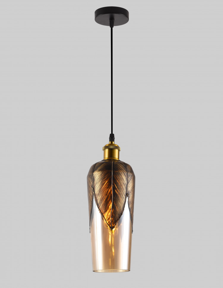 Светильник подвесной F2824-01