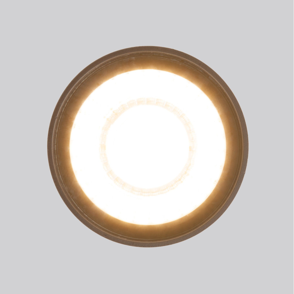 Уличный потолочный светильник Light LED 2105 IP54 35132/H черный
