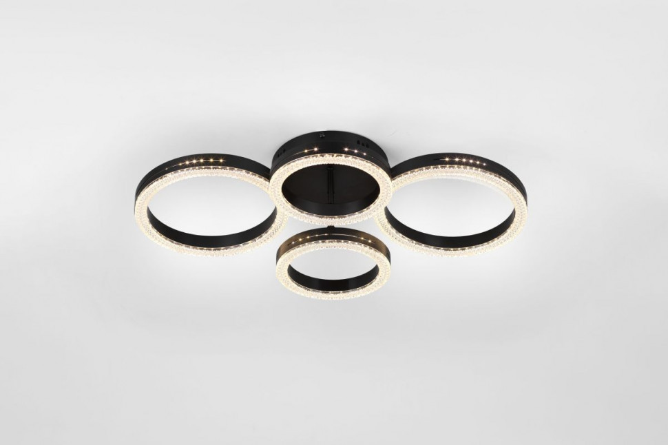 Потолочный светильник Rivoli Flora 6191-201