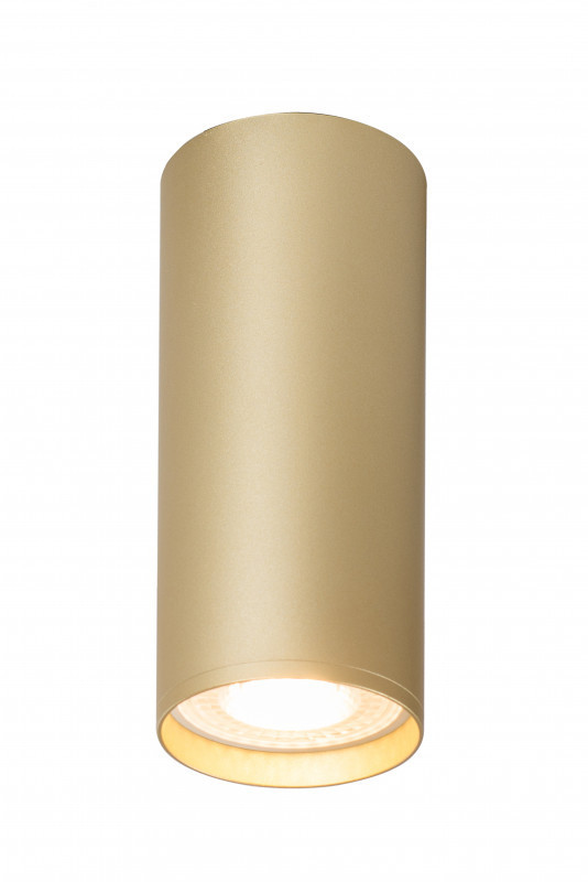 Накладной светильник Denkirs Tube DK2051-SG