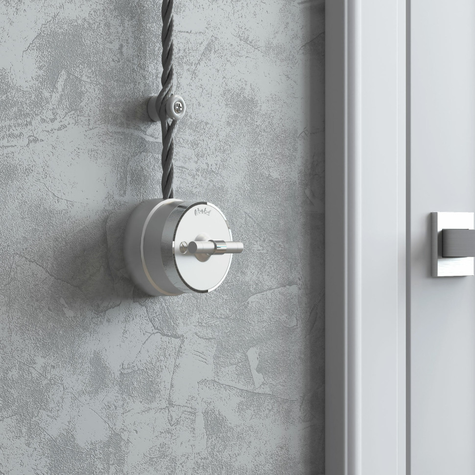 Переключатель/выключатель одноклавишный Vintage серебро матовый/хром W5812054