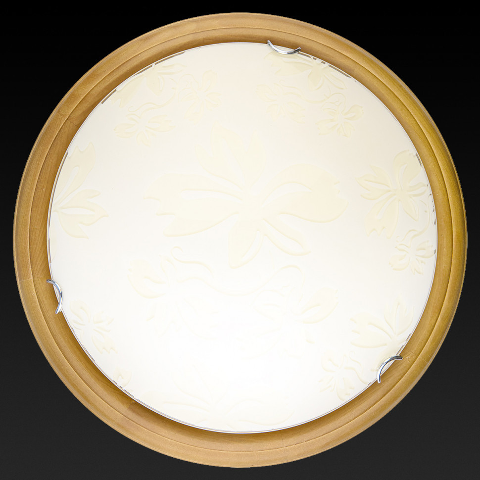 Настенно-потолочный светодиодный светильник Toplight Jane TL9640Y-00OA