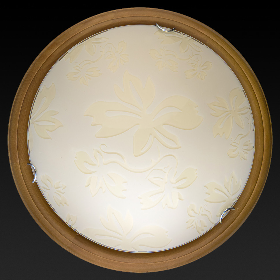 Настенно-потолочный светодиодный светильник Toplight Jane TL9640Y-00OA