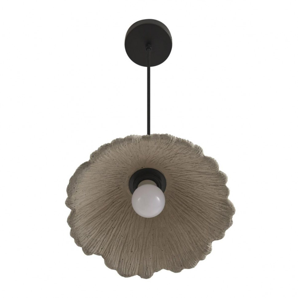 Подвесной светильник Lumion Suspentioni Eoliana 8351/1A