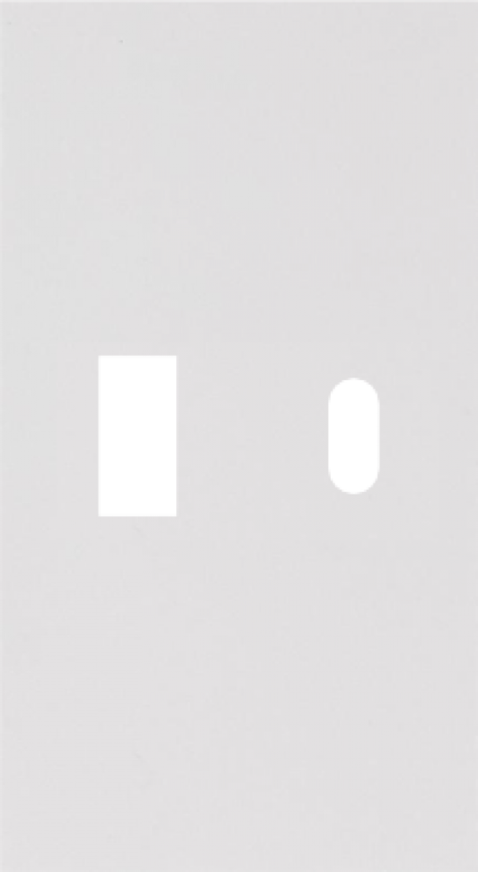 Usb+type c наклодкой 2--ух модульная цвет-белый матовый MEITON AW12C 