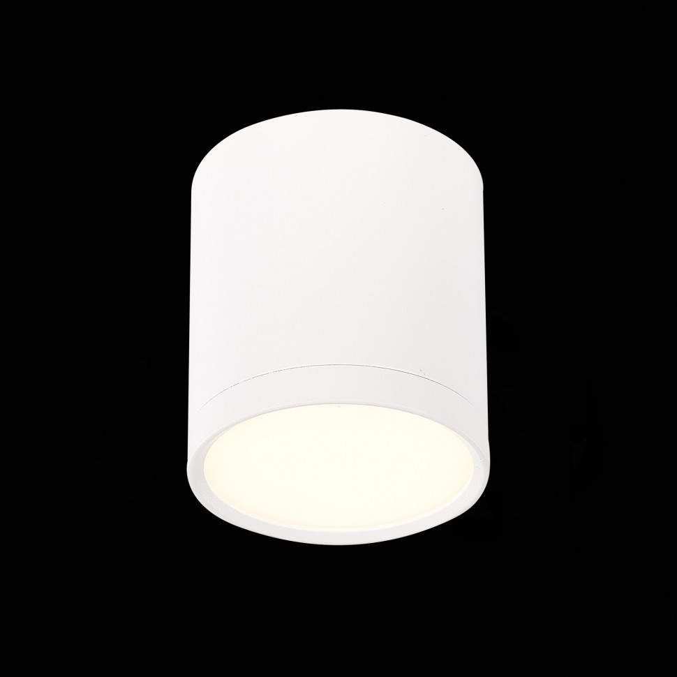 Потолочный светильник ST Luce Rene ST113.532.05