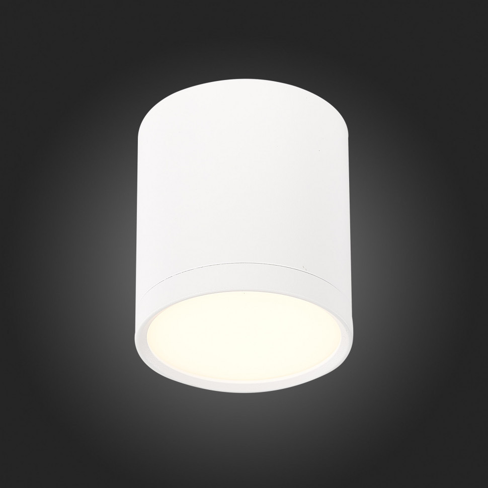 Потолочный светильник ST Luce Rene ST113.532.05